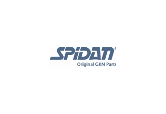 Логотип SPIDAN