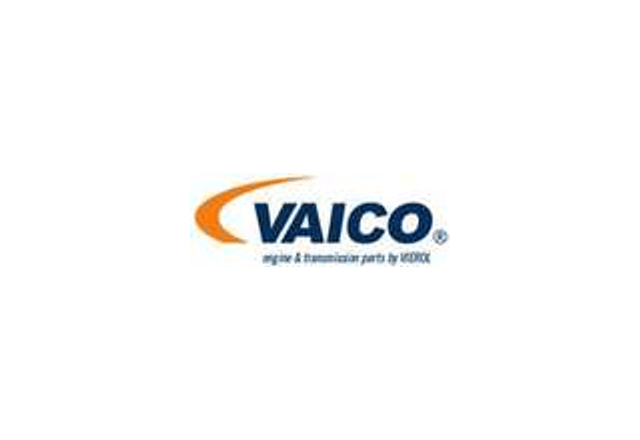 Логотип VAICO