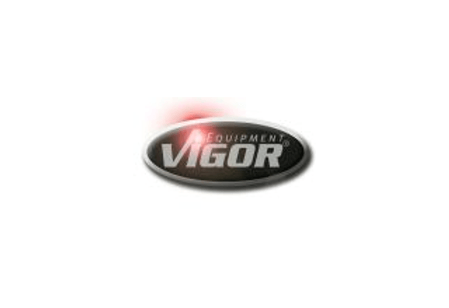 Логотип VIGOR