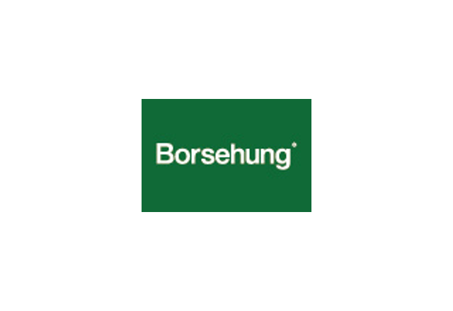 Логотип Borsehung