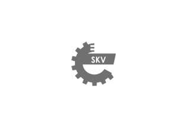 Логотип ESEN SKV