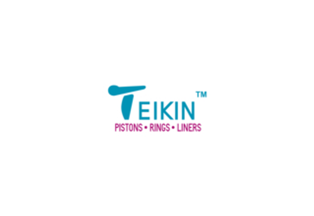 Логотип TEIKIN
