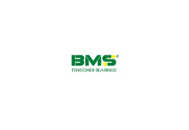 Логотип BMS