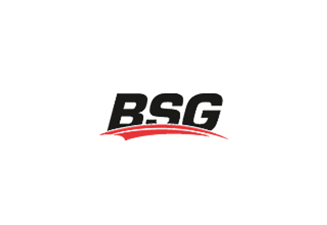 Логотип BSG